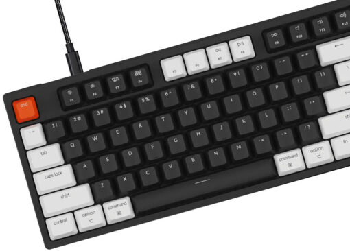 Keychron C2 hot swappable 06