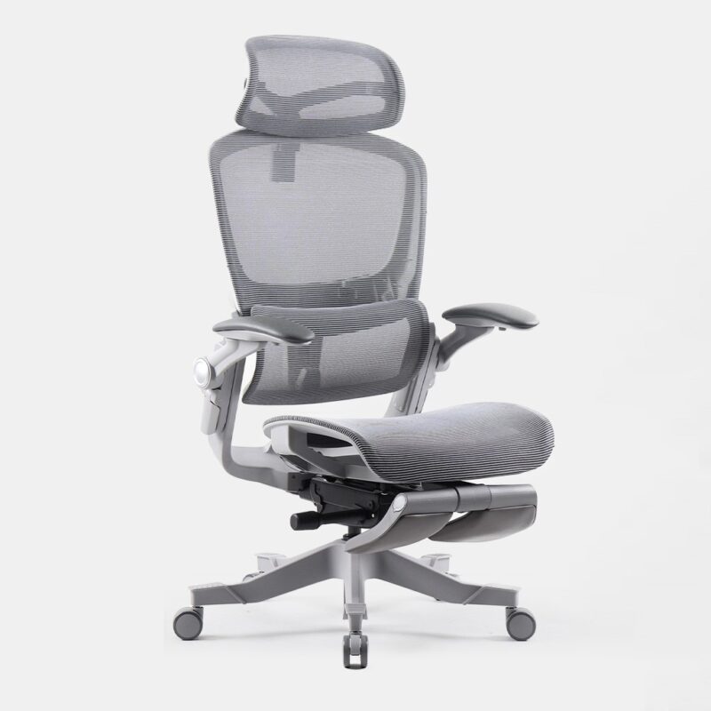 Ghế công thái học Epione Easy Chair 6