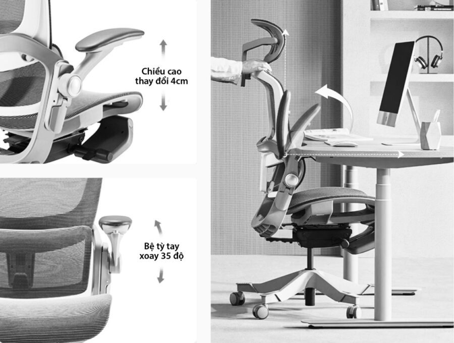 Ghế công thái học Epione Easy Chair 19