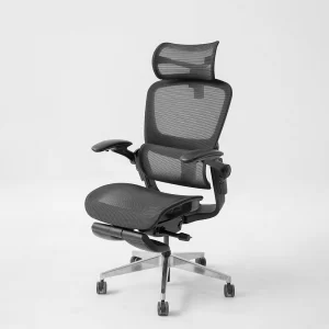 Epione Easy Chair SE