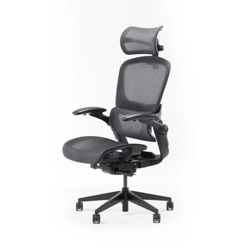 Ghế công thái học Epione Easy Chair 2.0 1
