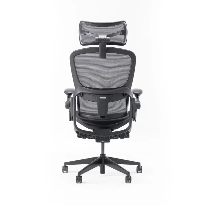 Ghế công thái học Epione Easy Chair 2.0 5